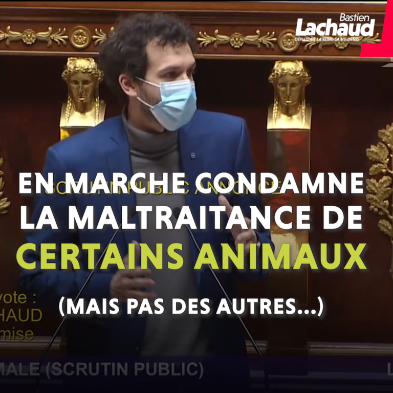 maltraitance animale