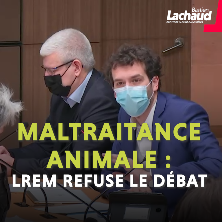 maltraitance animale