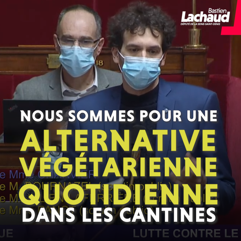 alternative végétarienne