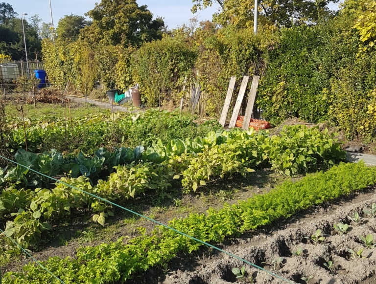 jardins aubervilliers